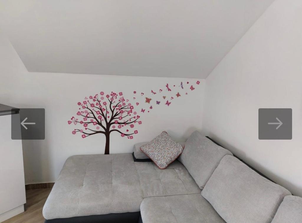 Apartmani Jedro Šilo 外观 照片